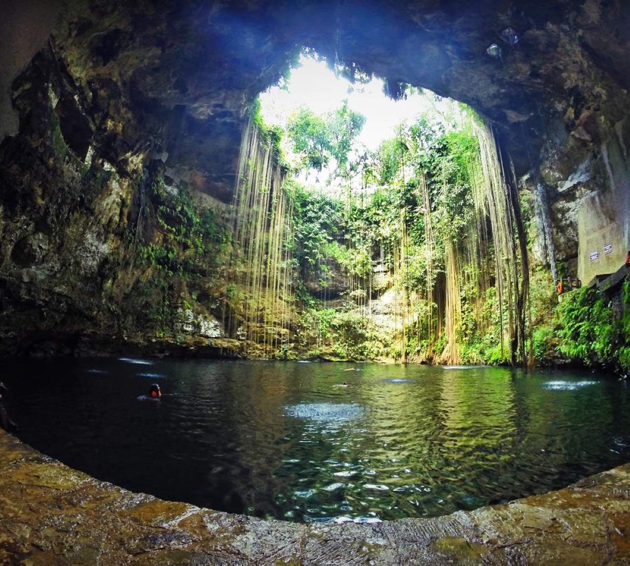 Cave with water and plants Cancun Mexico